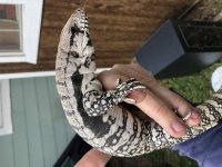 3EEFEDAB-9387-4E3F-9960-A6BC84FAA51C.jpg