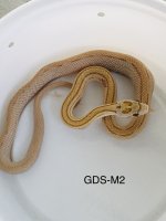 151E5BAF-FAAB-4CA8-BE2E-F8DB7CBEA8D2.jpg