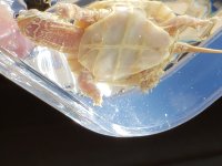 20191009_105557.jpg