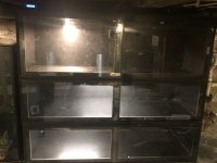 D5AD05CF-3FF5-410A-9F5C-5E9F2AD7016E.jpg