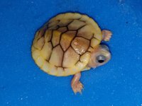 20191009_153835.jpg