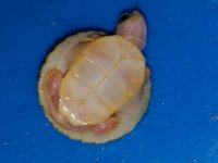 20191009_153826.jpg