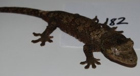 DSC_0025.jpg