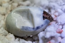 DSC_4466.jpg
