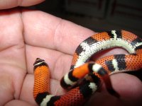 DSC01269[1].JPG
