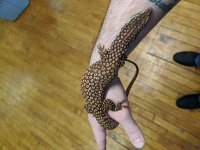 IMG_20200128_134627.jpg