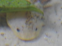 RSCN4713.JPG