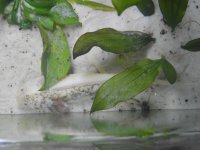 DSCN2770.jpg