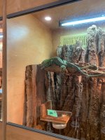 thumbnail_IMG_1403.jpg