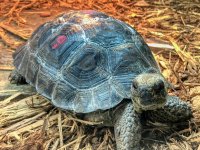IMG_0171 (1).jpeg