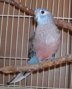 DSCN6200.jpg
