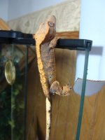 DSC04007.JPG