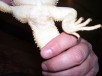 100_3710.jpg