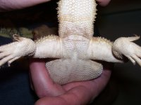 100_3716.jpg