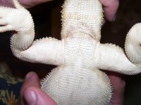 100_3717.jpg