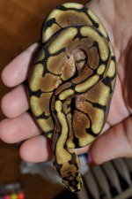 DSC_0077.jpg
