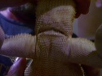 100_3718.jpg
