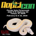 Tampa Repticon Feb 22nd & 23rd.jpg