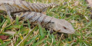 71C24DFE-025E-49D4-85DC-BD96E12598FC.jpg