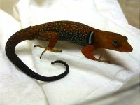 IMG_20200116_195336.jpg