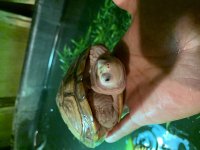 9E3B799A-7AC0-4671-84F6-2AFA4106CA7A.jpg