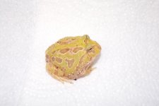 100_0516.jpg