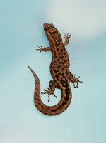 20180601_213140.jpg