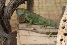 IMG_2047.jpg