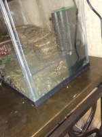 IMG_20191212_060436184.jpg