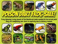 Poison Dart Frog Promo3.jpg