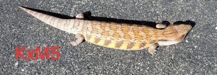20190930_105534.jpg