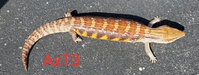 20190930_105628.jpg