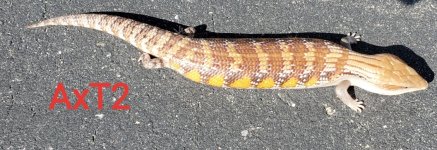 20190930_105725.jpg