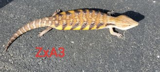 20190930_105233.jpg