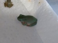 IMG_20170815_182101.jpg