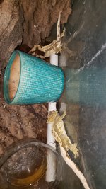 20191205_165337.jpg
