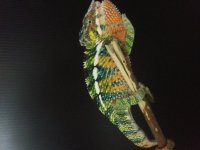 20191114_175641.jpg