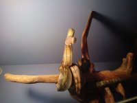 20190605_144723.jpg