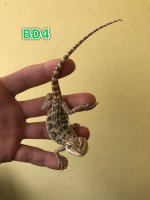 94A30AD3-9BD6-497B-B5E4-33D51F8A4FD0.jpg