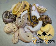 PicsArt_10-12-11.12.27.jpg