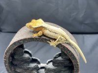 IMG_0714.jpg