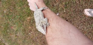 20191007_100751.jpg