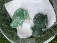IMG_5506.jpg