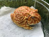 IMG_5499.jpg