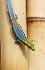 IMG_6974 2.jpg