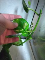 IMG_20171107_192624.jpg