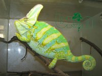 IMG_7307 â€” копия.JPG