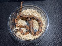 IMG_6064.jpg
