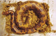 P1140349.jpg