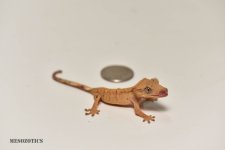 DSC_3005.jpg